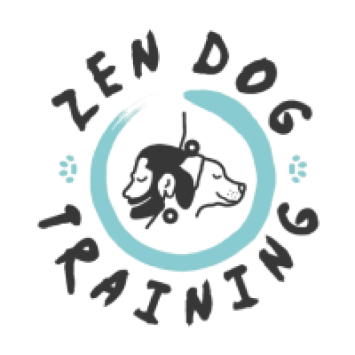 Online dog training